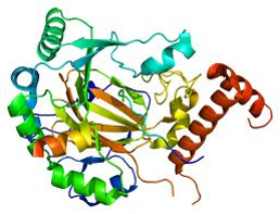 Introducing Biostatistics