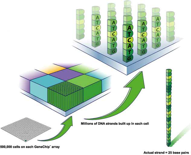 Microarrays